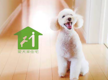 【わんちゃんと一緒に♪】1/31（日）はペットと一緒に暮らす家「愛犬家住宅」見学会！