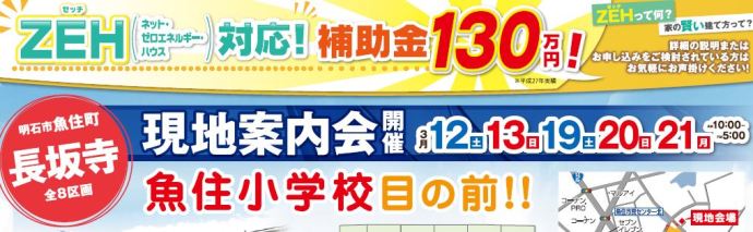 3/12・13・19・20・21は、明石市魚住町長坂寺 現地案内会♪