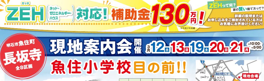 3/12・13・19・20・21は、明石市魚住町長坂寺 現地案内会♪